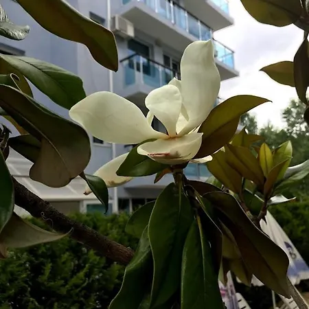 Apartment Магнолия Резиденс 3 Sunny Beach